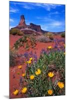 Wildflowers at Dead Horse Point-Paul Souders-Mounted Premium Photographic Print