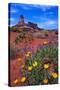 Wildflowers at Dead Horse Point-Paul Souders-Stretched Canvas