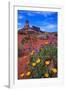 Wildflowers at Dead Horse Point-Paul Souders-Framed Photographic Print