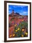 Wildflowers at Dead Horse Point-Paul Souders-Framed Photographic Print