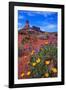 Wildflowers at Dead Horse Point-Paul Souders-Framed Photographic Print