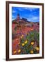 Wildflowers at Dead Horse Point-Paul Souders-Framed Photographic Print