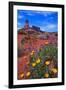 Wildflowers at Dead Horse Point-Paul Souders-Framed Photographic Print