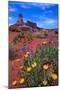 Wildflowers at Dead Horse Point-Paul Souders-Mounted Photographic Print