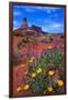 Wildflowers at Dead Horse Point-Paul Souders-Framed Photographic Print