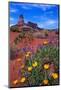 Wildflowers at Dead Horse Point-Paul Souders-Mounted Photographic Print