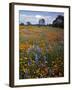 Wildflowers, Avenales Wildlife Area, Santa Margarita, California, USA-Charles Gurche-Framed Photographic Print