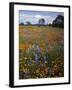 Wildflowers, Avenales Wildlife Area, Santa Margarita, California, USA-Charles Gurche-Framed Photographic Print