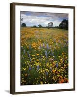 Wildflowers, Avenales Wildlife Area, Shell Creek Road, California, USA-Charles Gurche-Framed Premium Photographic Print