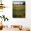 Wildflowers, Avenales Wildlife Area, Shell Creek Road, California, USA-Charles Gurche-Photographic Print displayed on a wall