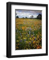 Wildflowers, Avenales Wildlife Area, Shell Creek Road, California, USA-Charles Gurche-Framed Photographic Print