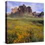 Wildflowers beneath Rock Formation-DLILLC-Stretched Canvas