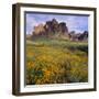 Wildflowers beneath Rock Formation-DLILLC-Framed Photographic Print