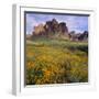 Wildflowers beneath Rock Formation-DLILLC-Framed Photographic Print