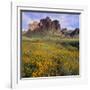 Wildflowers beneath Rock Formation-DLILLC-Framed Photographic Print