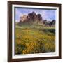 Wildflowers beneath Rock Formation-DLILLC-Framed Photographic Print