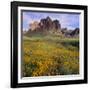 Wildflowers beneath Rock Formation-DLILLC-Framed Photographic Print