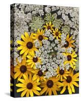 Wildflowers black eyed Susans Queen Ann Lace-null-Stretched Canvas