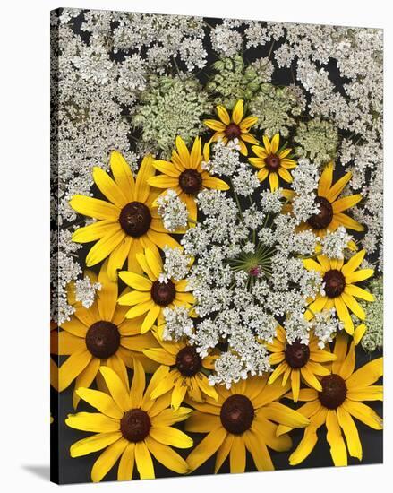 Wildflowers black eyed Susans Queen Ann Lace-null-Stretched Canvas