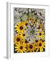 Wildflowers black eyed Susans Queen Ann Lace-null-Framed Art Print