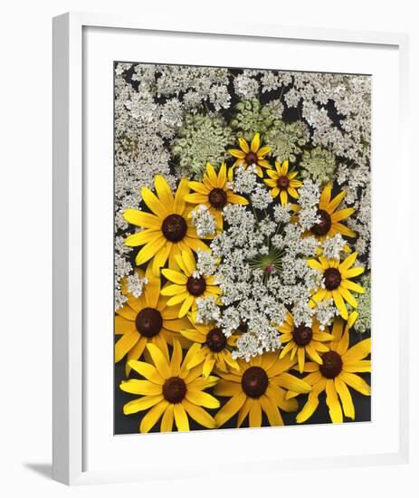 Wildflowers black eyed Susans Queen Ann Lace-null-Framed Art Print