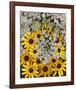 Wildflowers black eyed Susans Queen Ann Lace-null-Framed Art Print