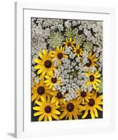 Wildflowers black eyed Susans Queen Ann Lace-null-Framed Art Print