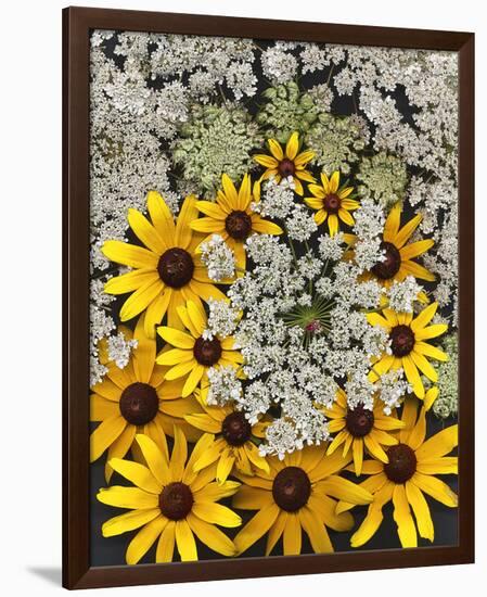 Wildflowers black eyed Susans Queen Ann Lace-null-Framed Art Print