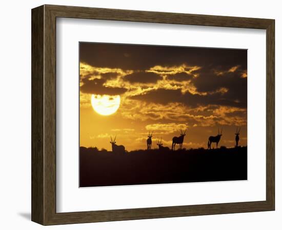 Wildflowers Bloom on Cliffs Above Cape of Good Hope, South Africa-Paul Souders-Framed Photographic Print