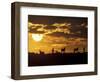 Wildflowers Bloom on Cliffs Above Cape of Good Hope, South Africa-Paul Souders-Framed Photographic Print