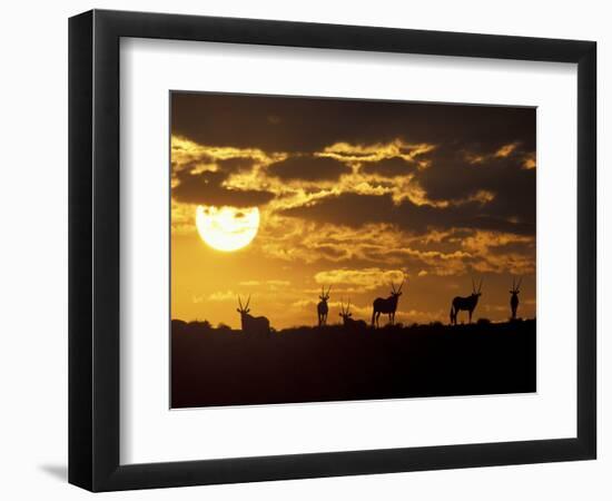 Wildflowers Bloom on Cliffs Above Cape of Good Hope, South Africa-Paul Souders-Framed Photographic Print