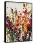 Wildflowers Blooming II-Tim OToole-Framed Stretched Canvas