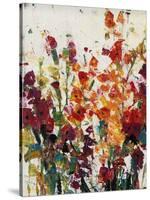 Wildflowers Blooming II-Tim OToole-Stretched Canvas