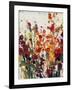 Wildflowers Blooming II-Tim OToole-Framed Art Print