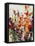 Wildflowers Blooming II-Tim OToole-Framed Stretched Canvas