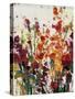 Wildflowers Blooming II-Tim OToole-Stretched Canvas