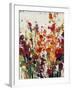 Wildflowers Blooming II-Tim OToole-Framed Art Print