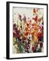 Wildflowers Blooming II-Tim OToole-Framed Art Print