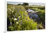 Wildflowers by Hill Country Stream, Texas, USA-Larry Ditto-Framed Photographic Print