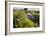 Wildflowers by Hill Country Stream, Texas, USA-Larry Ditto-Framed Photographic Print