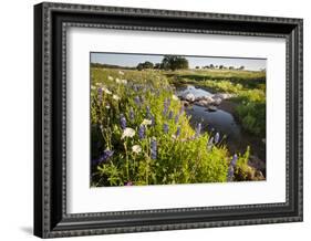 Wildflowers by Hill Country Stream, Texas, USA-Larry Ditto-Framed Photographic Print