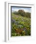 Wildflowers, Columbia River Gorge National Scenic Area, Washington,Usa-Charles Gurche-Framed Photographic Print