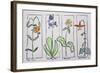 Wildflowers from Mt. Rainier National Park-Tiger Lily, Shooting Star, Arnica and Columbine.-Richard Lawrence-Framed Photographic Print