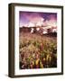 Wildflowers Growing at Foot of Mount Rainier-Stuart Westmorland-Framed Photographic Print