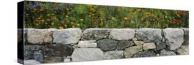 Wildflowers Growing near a Stone Wall, Fidalgo Island, Skagit County, Washington State, USA-null-Stretched Canvas