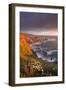 Wildflowers Growing on the Cliff Tops Above Hartland Point, Looking South to Screda Point, Devon-Adam Burton-Framed Photographic Print