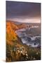 Wildflowers Growing on the Cliff Tops Above Hartland Point, Looking South to Screda Point, Devon-Adam Burton-Mounted Photographic Print