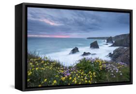 Wildflowers Growing on the Clifftops Above Bedruthan Steps on a Stormy Evening, Cornwall, England-Adam Burton-Framed Stretched Canvas