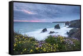 Wildflowers Growing on the Clifftops Above Bedruthan Steps on a Stormy Evening, Cornwall, England-Adam Burton-Framed Stretched Canvas