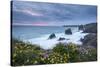 Wildflowers Growing on the Clifftops Above Bedruthan Steps on a Stormy Evening, Cornwall, England-Adam Burton-Stretched Canvas